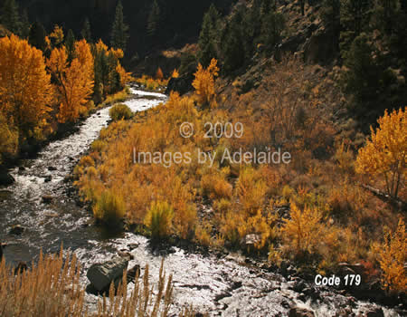 October Along the East Carson River